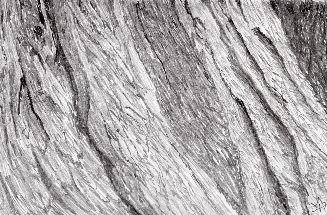 Texture Study 002 - bark - graphite