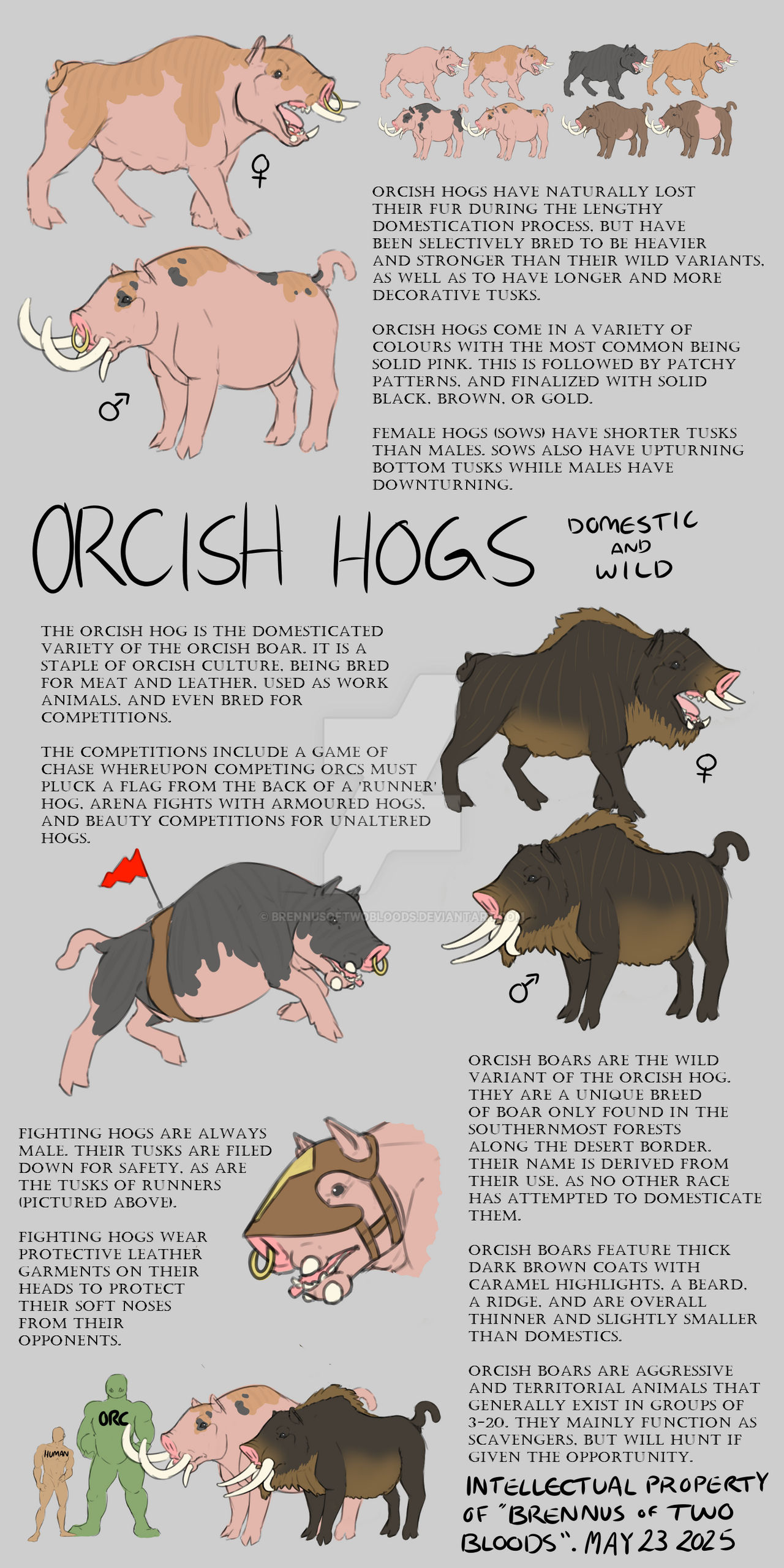 Hog Info Sheet (Final concept) by BrennusofTwoBloods on DeviantArt