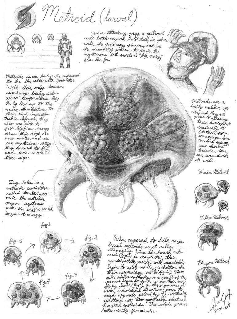 Metroid Lava Larval Metroid by GnooroopoftheGerudo on DeviantArt