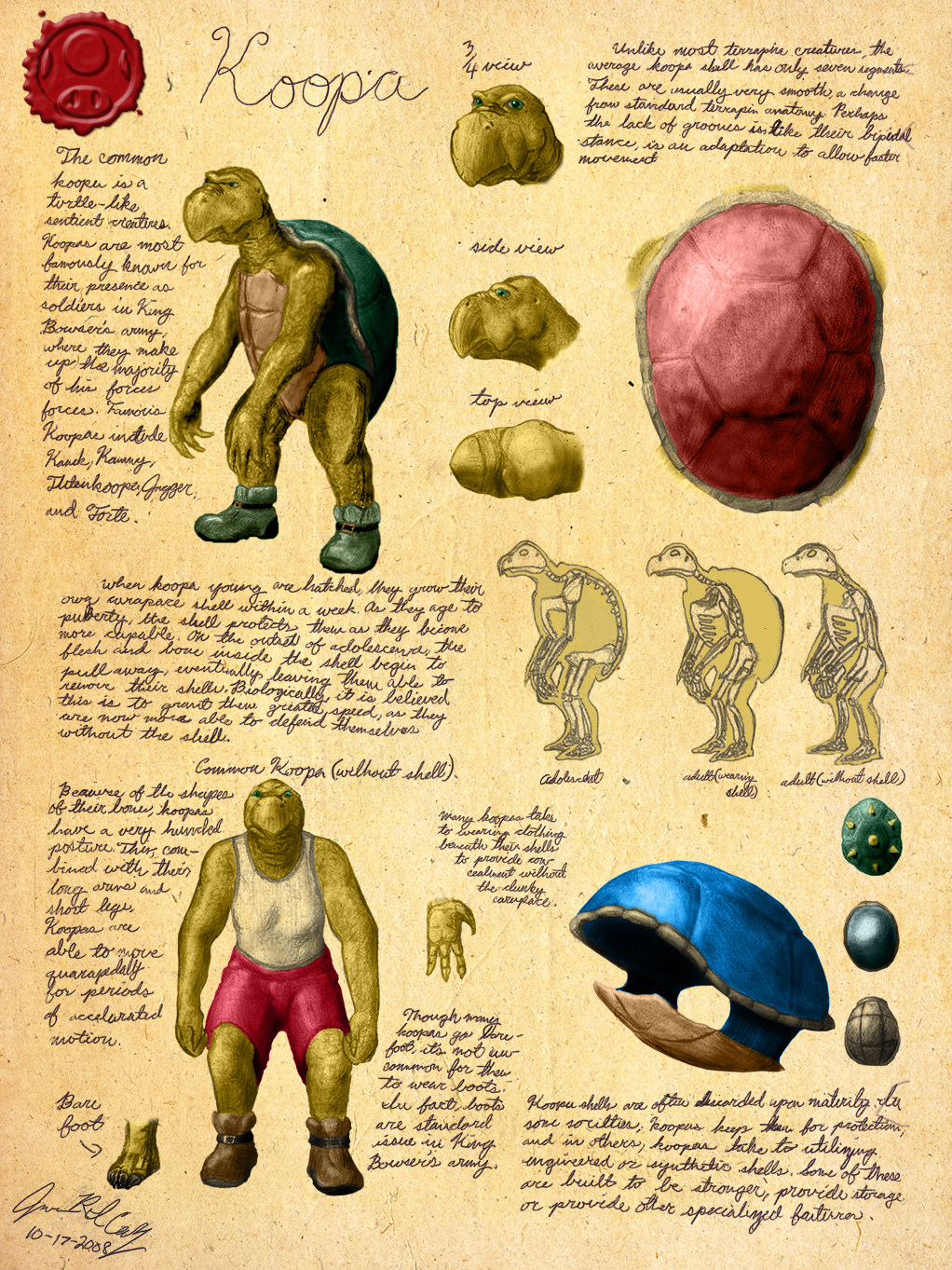 Biology of the Common Koopa