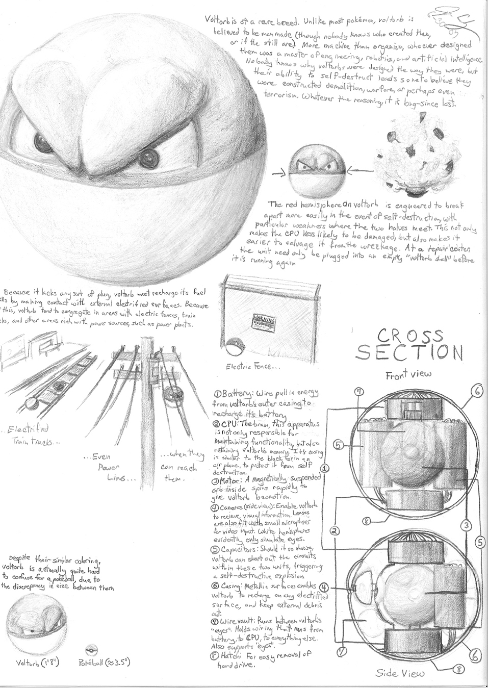 Voltorb by GnooroopoftheGerudo on DeviantArt