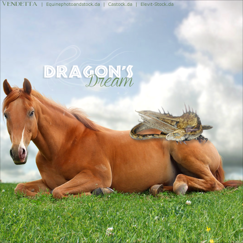 HEE Horse Avatar: Dragon's Dream