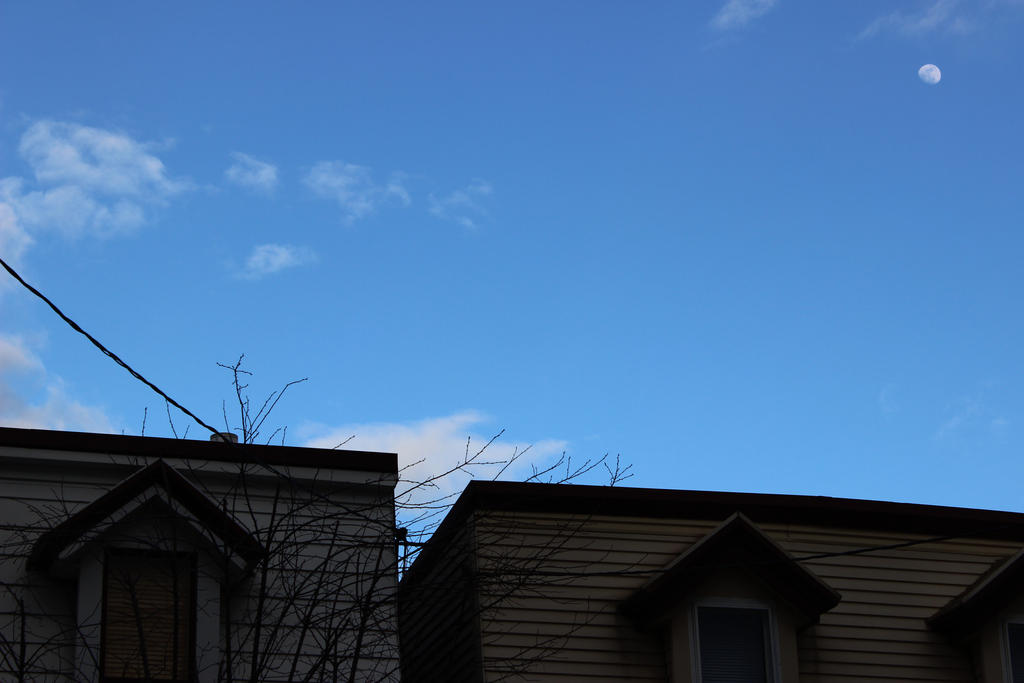 Daylight Moon Over The Neighbourhood