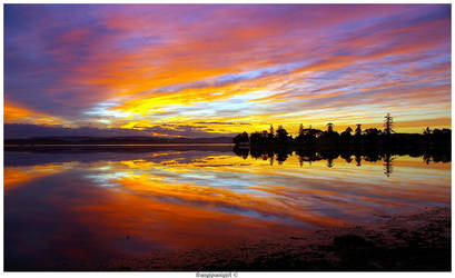 Amber Reflection