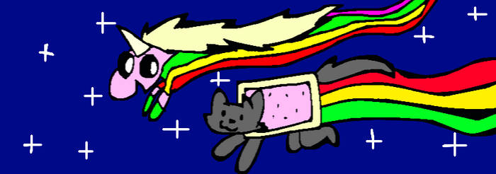 Lady Rainicorn and Nyan Cat