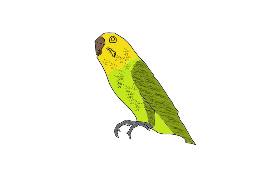 My Friend's Bird (RIP) (CARTOON) by selcukinan8 on DeviantArt