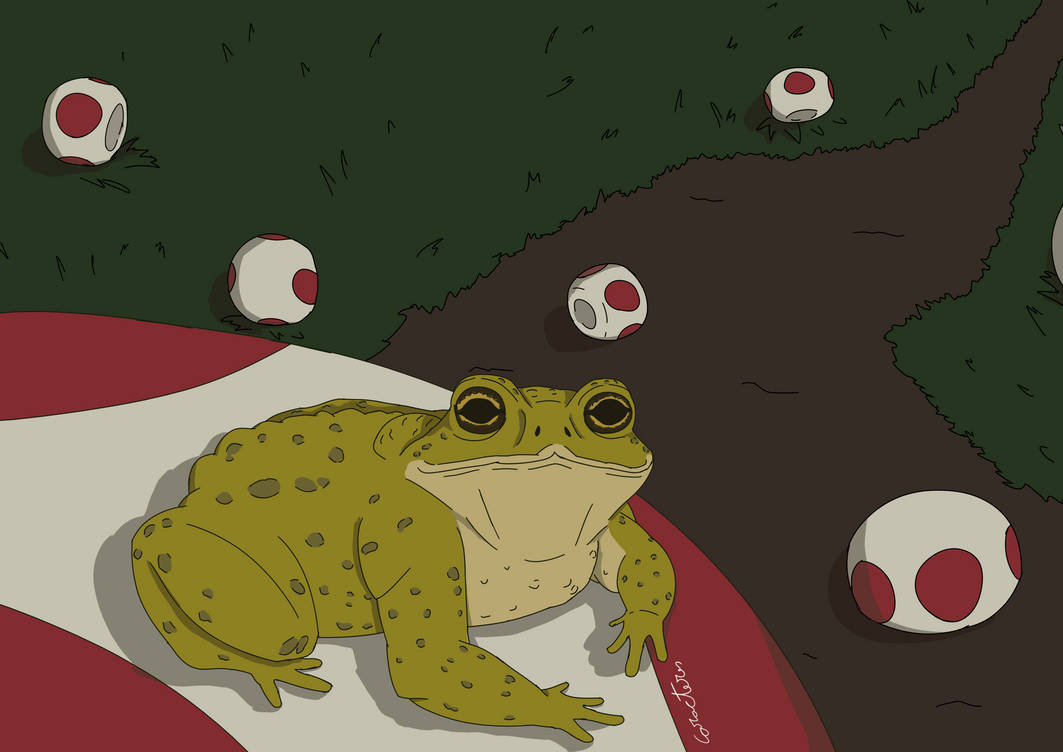 Toad Cod Character Toad by Caracteress on DeviantArt