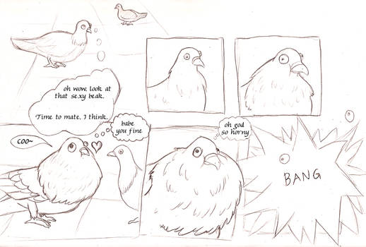 Pigeon comic 1 - mating