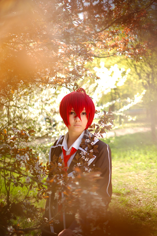 Starry Sky : Yoh Tomoe