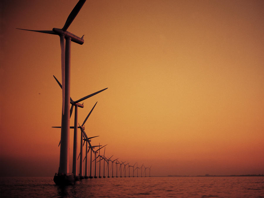 Wind farm a summer evening