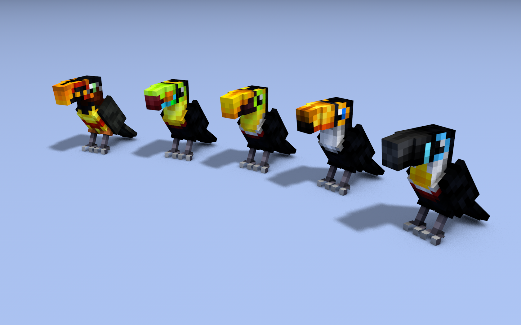 Toucans - Pirate Adventures