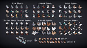 Planet Pigeon - Pigeon Breeds