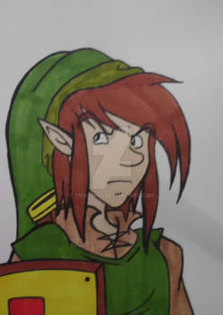 LoZ Link Sketchcard 2