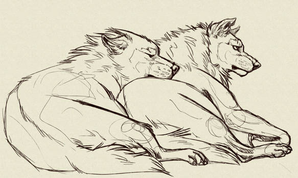 Wolf Couple Contest Entry