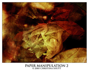 Paper Manipulation 2