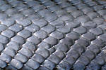 Snake scales_texture