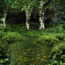 Pond Background