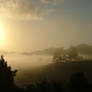 Morning_2