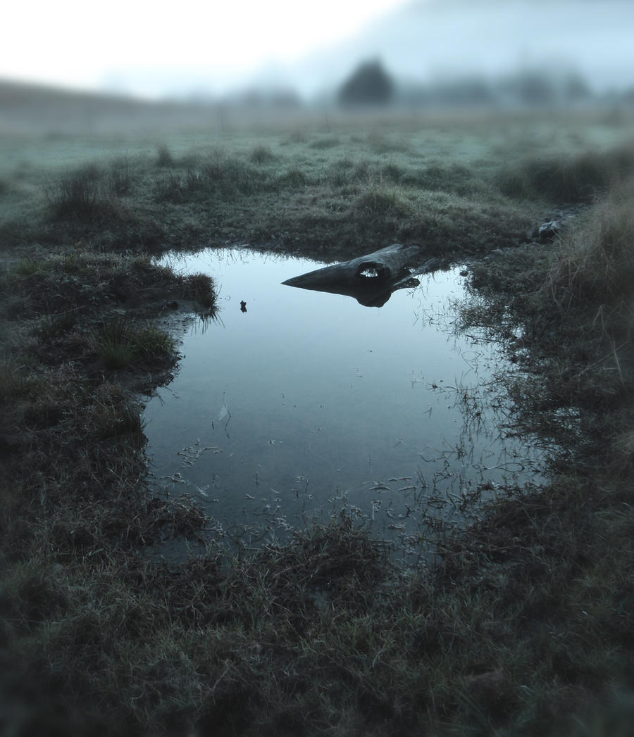 Winter Swamp 4