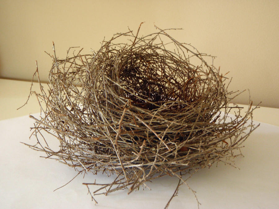 Nest 3