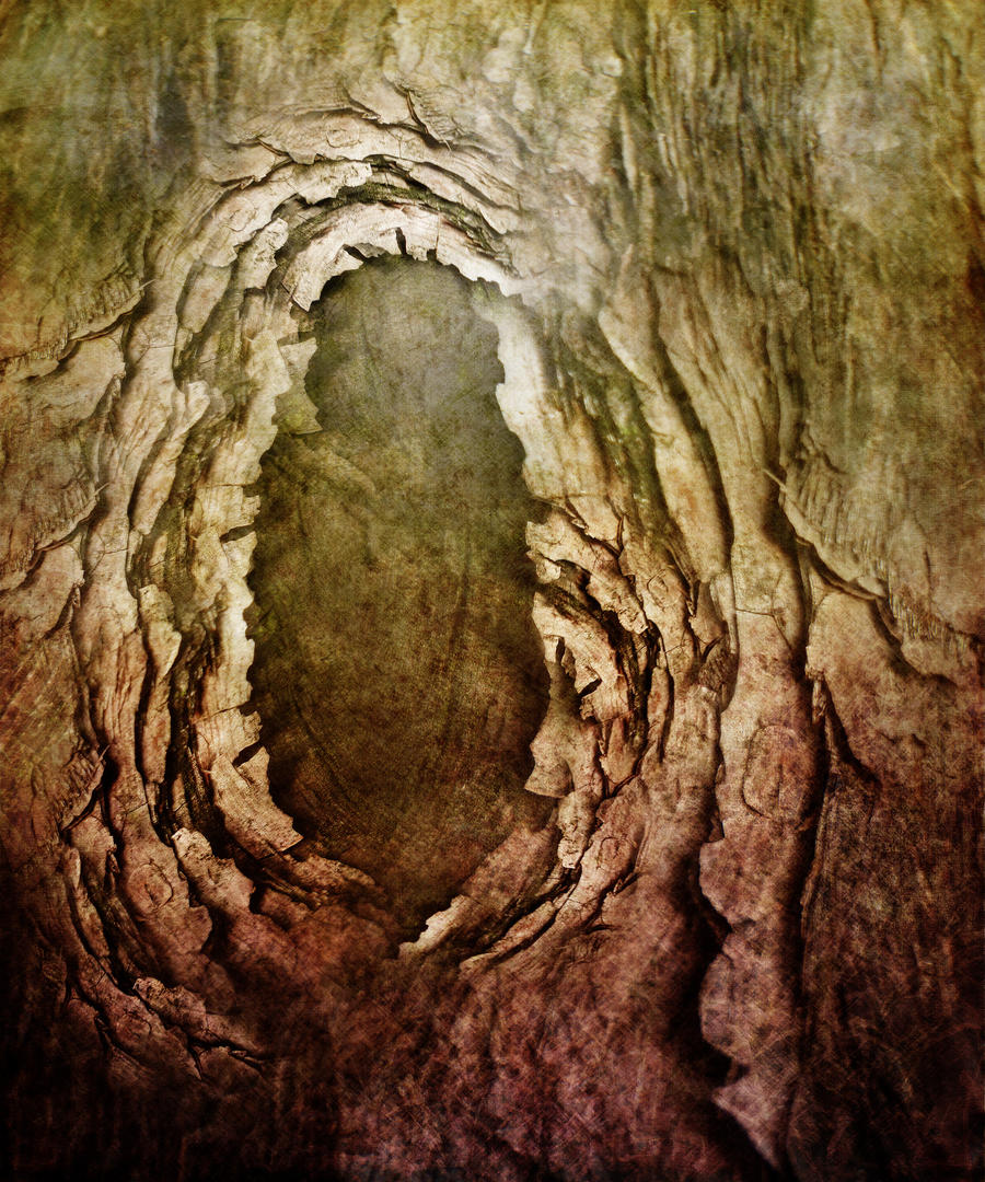 Dryad Skin Wood Texture 2