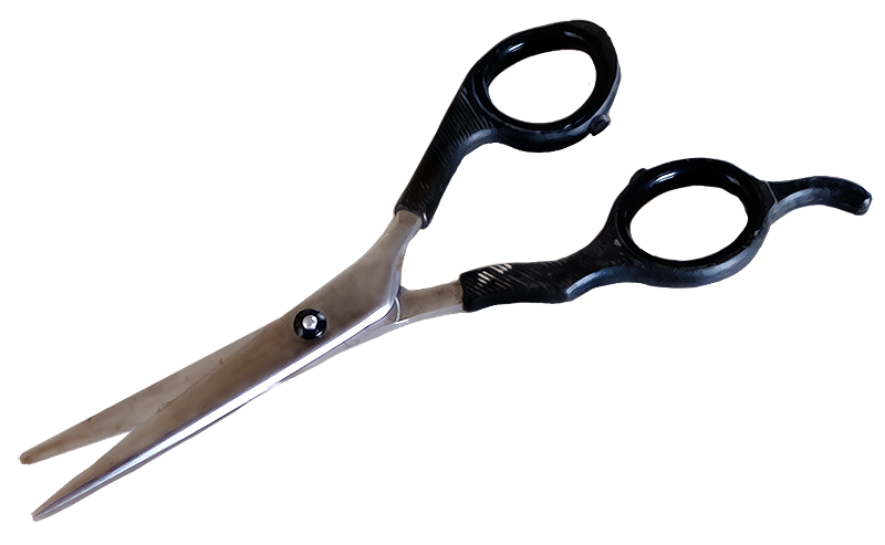 Scissors Small Black Handle