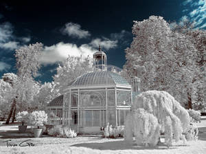 Gustave Eiffel - Glasshouse {Infrared}