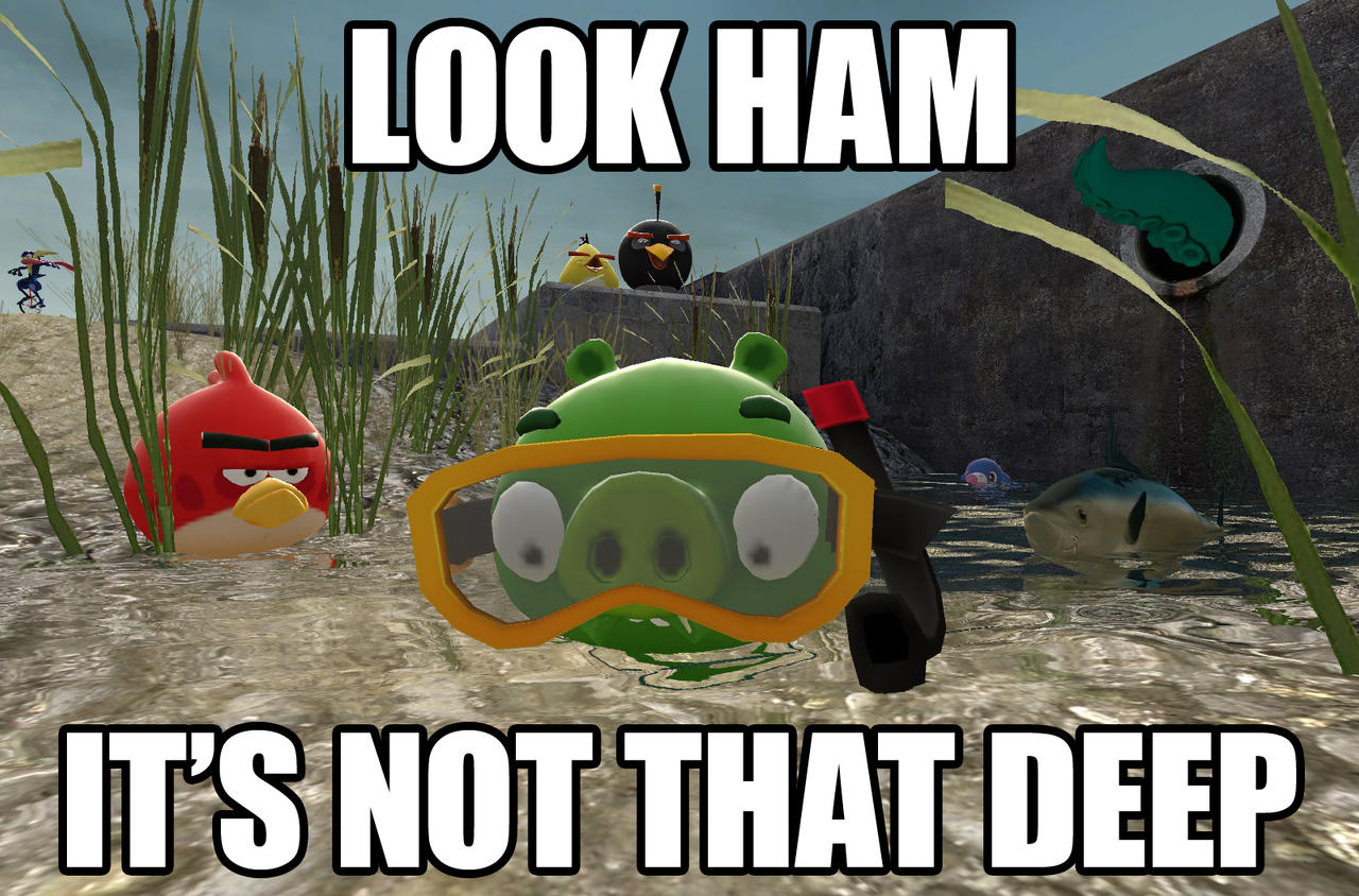 Gmod Angry Birds Ain T That Deep By Raccoonfoot On Deviantart Gmod Angry Birds Ain T That Deep By Raccoonfoot On Deviantart