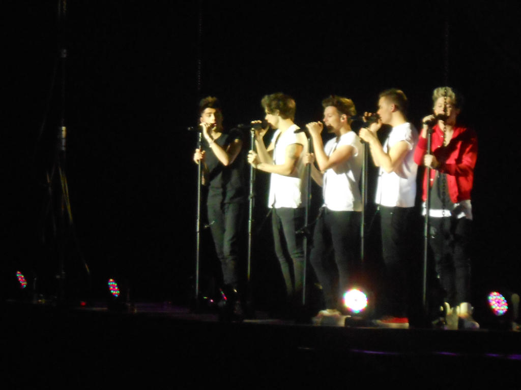One Direction Concert View ONE DIRECTION CONCERT PICS!!!!!! by BTRwolf99 on DeviantArt