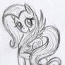 Quick Fluttershy Sketch 7