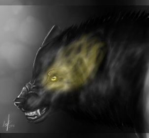 A bad black Wolf