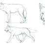 Wolf and Husky sketch-study
