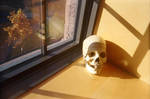 Skull in the Window by NMEmusic21