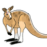 FursonaIdea2- Kangaroo