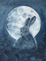 Moonlit Hare