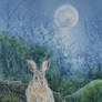 Hare in the Moonlight.