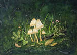 Magical Mushrooms by SueMArt