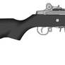 Ruger Mini-14 with Stanag Magazine Conversion