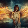 When the angels fall