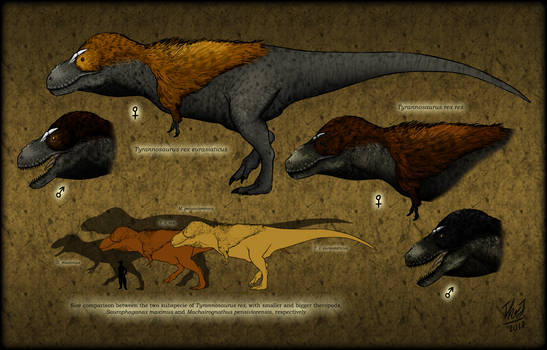 Tyrannosaurus rex subspecies