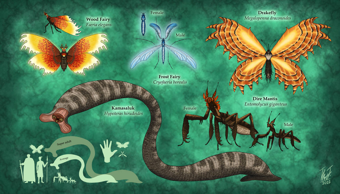 Future Invertabrates Magical Invertebrates of The Old World by TheJuras on DeviantArt