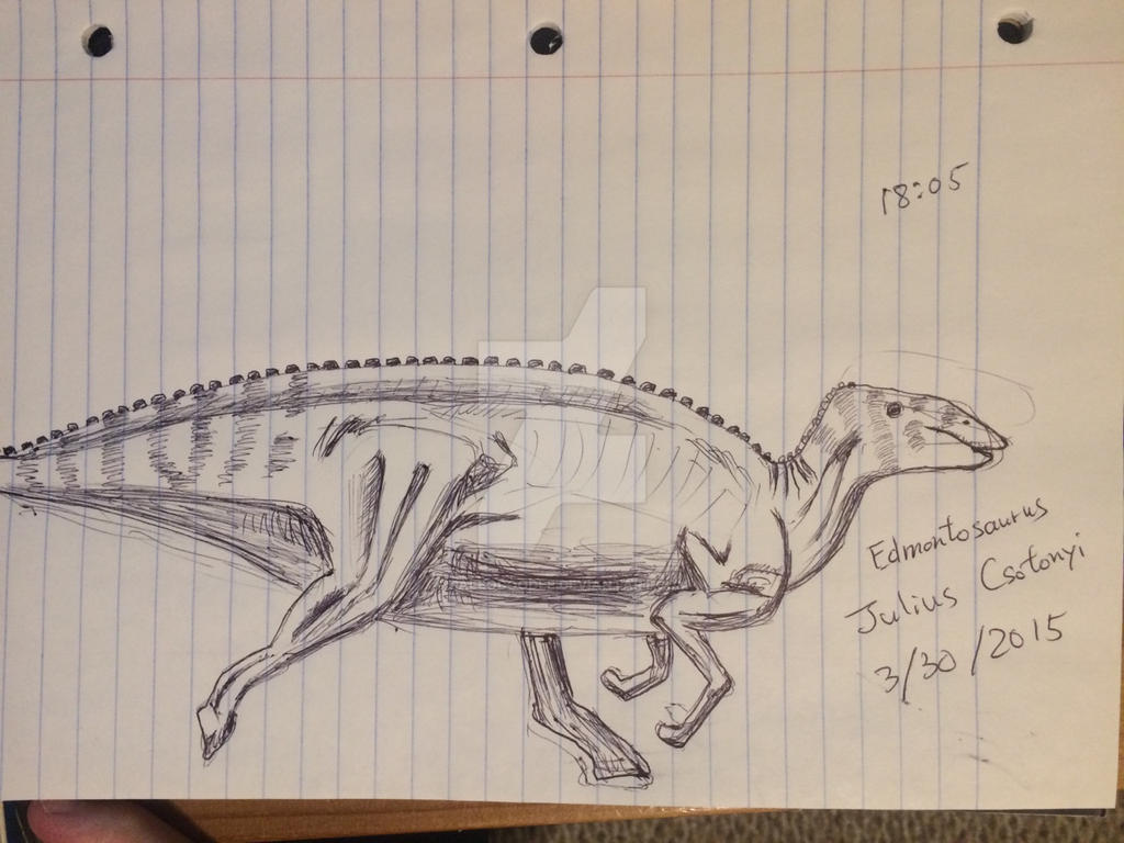 Edmontosaurus By Paleodoodle On DeviantArt