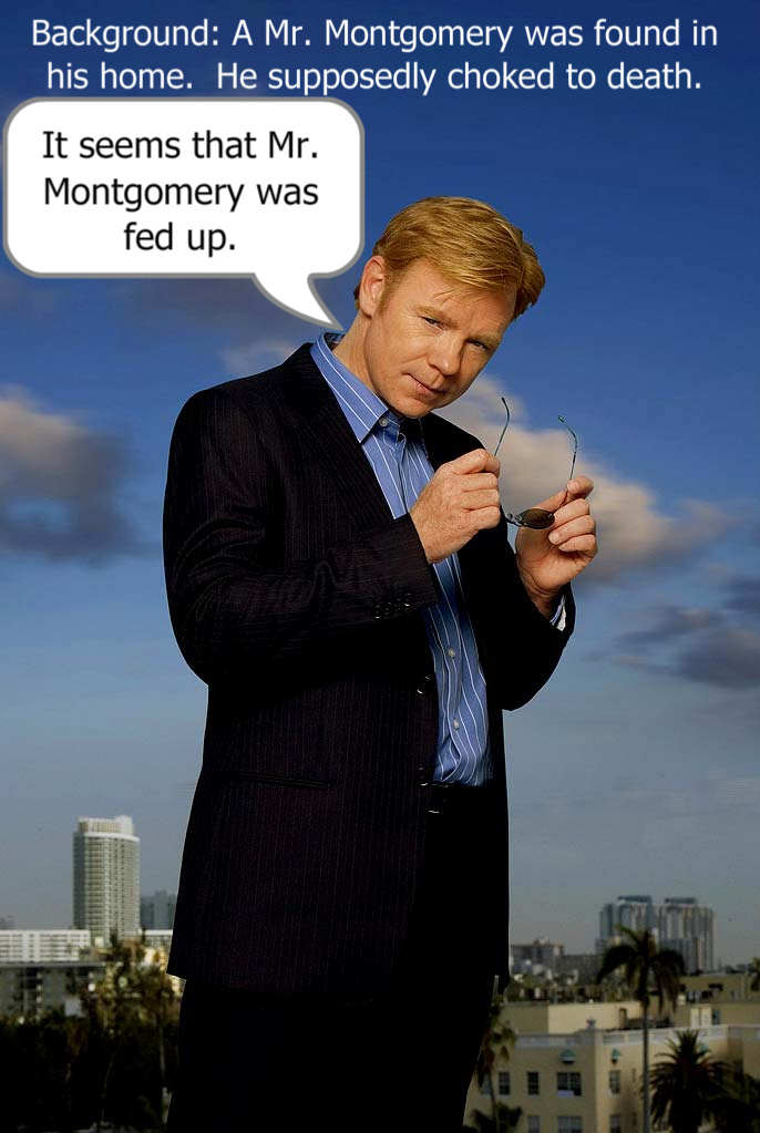 Horatio Caine One-Liner 2