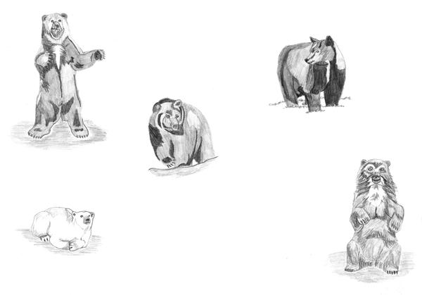 bears by MahaRani95 on DeviantArt
