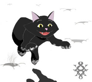 Black Cat Jumping in White Snow