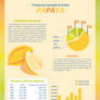 Volante Infografia Papaya