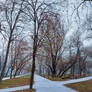 Snowy cross road