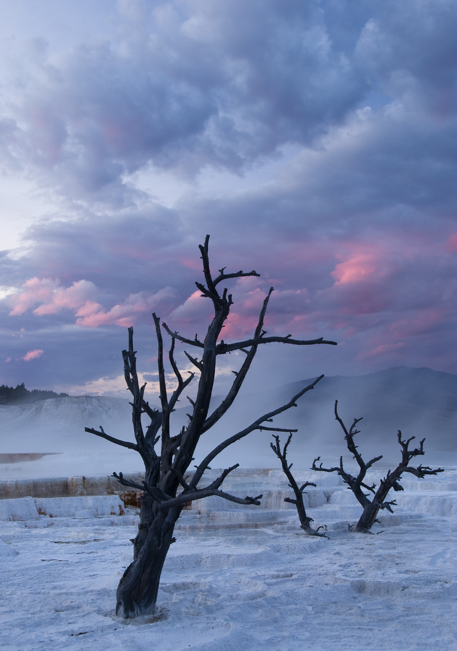 Mammoth Hot Springs