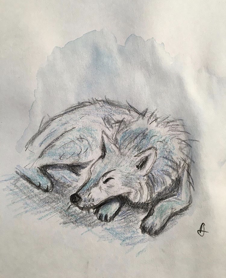 Le Loup Endormi By Lartc15 On Deviantart Le Loup Endormi By Lartc15 On Deviantart