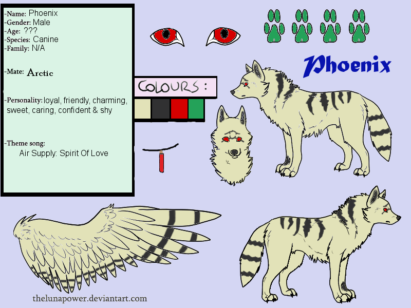 Phoenix Reference by ArcticLovers on DeviantArt